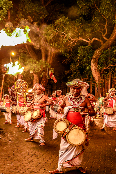 Cultural Trails and Scenic Train Journeys