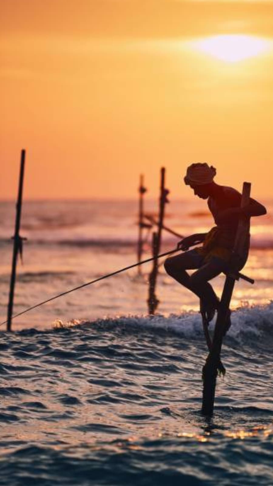 Traditional stilt fishing in Sri Lanka